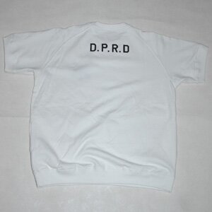 07dictsstwb3.jpg